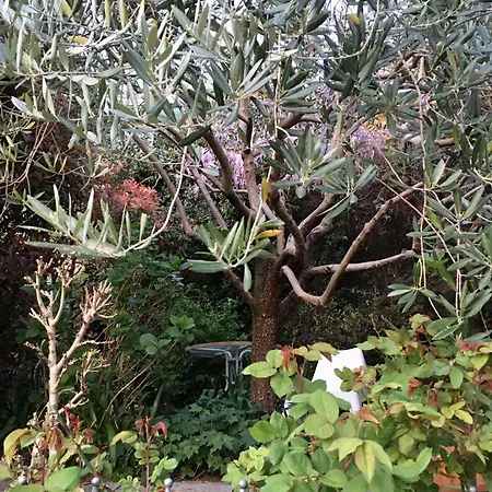 Cav Di Gianfranco アパート